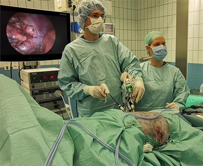 Laparoscopic vs. open adrenalectomy: perioperative data and survival analysis in 70 dogs with an adrenal tumor